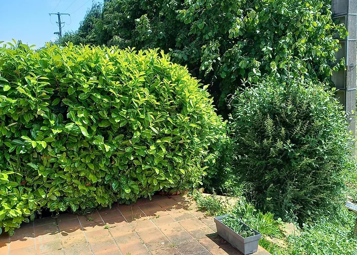 L'abri Appartement May-sur-Orne